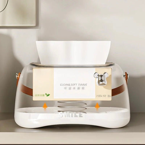 Elegant Tissue Box Holder